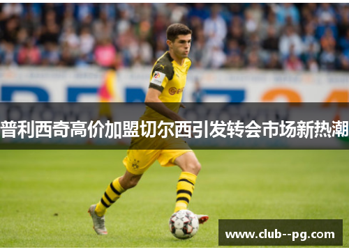 普利西奇高价加盟切尔西引发转会市场新热潮