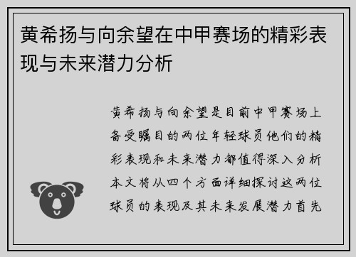 黄希扬与向余望在中甲赛场的精彩表现与未来潜力分析
